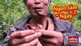 Đáng Sợ cảnh ăn tươi nuốt sống Rắn Rết cực độc của Dị Nhân Việt Nam| Hóng Khám Phá