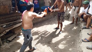 Mar 30 sunday sultada