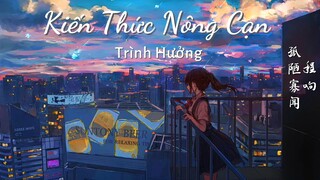 [Vietsub] 程响 - 孤陋寡闻 || Kiến thức nông cạn - Trịnh Hưởng