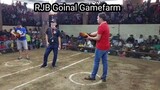 Golden Monkey Sweater Broodcock for the win @ Naic Cockpit Arena #RJBGoinalGamefarm #TeamRJB