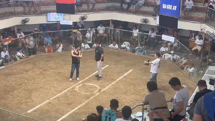 KENTARU LINE 2XWINNER