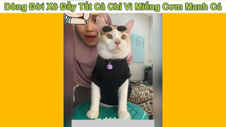 Chỉ vì miếng cơm con cá chứ ai t thèm làm mẫu cho mày #funny #haihuoc