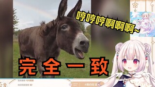 日本萝莉看《盘点意想不到的动物叫声》惊得发出驴叫