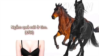 Phiên Bản Tiếng Việt Old Town Road (Lil Nas X)  - Cover