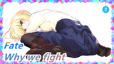 Fate|【Fate stay night】Why we fight_2