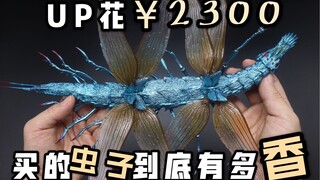 B站首发！UP花2300块买的千值练“大王蜻蜓”到底有多香？35厘米巨型体长，85处可动，2020宫崎骏粉必入单品！【霖Sir开箱】