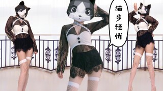 【猫头姐】黑白感性小花猫《猫步轻悄》本色出演，你更喜欢哪只