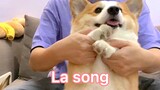 皮老板热舞丨La song
