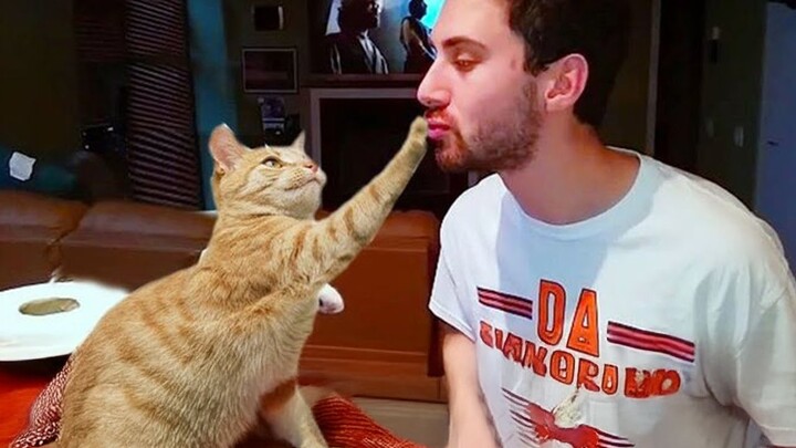 Cat HATES It When Owner Sings The Wrong Song 🤣