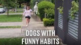 Dogs With Funny Habits