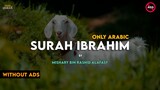 Surah Ibrahim Surah 14 | Only Arabic | By Mishary Rashid Alafasy | Hub Of Quran