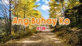 Ang Buhay Ko - Asin | Karaoke Version