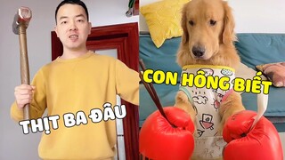 Tứ Mao | Tứ Mao Lươn Lẹo Ăn Vụng Thịt Của PAPA Và Cái Kết 😂 Gâu Đần Official