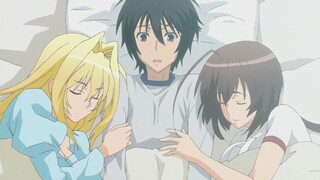 【Recommendations for harem anime】Three harem anime that are fun to watch (9)