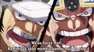 One Piece Episode 1065 Subtittle Indonesia Terbaru