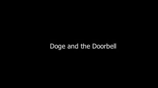 doge and the doorbell