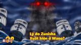 Lý do khiến Zunisha xuất hiện ở Wano?