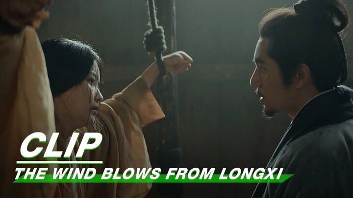 Clip: Chen Gong Can't Do Anything Before His Lover | The Wind Blows From Longxi EP12 | 风起陇西 | iQiyi