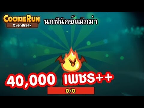 Cookierun OvenBreak ตามล่านกฟินิกซ์แม็กม่า LV.MAX เปย์หนักมากกว่า 40,000 เพชร !?