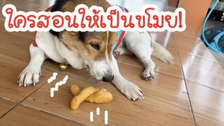 โลกของแสนดี ตอน โจรขโมยปลาท่องโก๋!