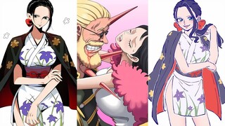 SOMMERS VS ROBIN | ONE PIECE