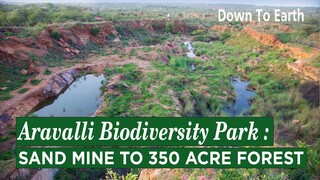 Aravalli Biodiversity Park : How a sand mine was restored to a 350 acre forest