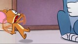 Tom And Jerry In Singapore | Tom And Jerry Fighting Again Together In Singapore | Anime And Cartoon