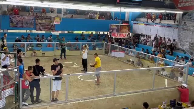 Pasig square 2 hits first fight win grey