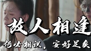 穿书毅，守护嘟嘟【故人相逢何必相识，安好足矣】