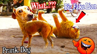 Must Watch Funny Video - Big Fake Lion Roar vs Real Dogs Prank very Funny with Surprise Reaction