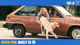 Tóm tắt phim Marley và tôi - Hành Trình 20 Năm Cuộc Đời Của Chú Chó Marley
