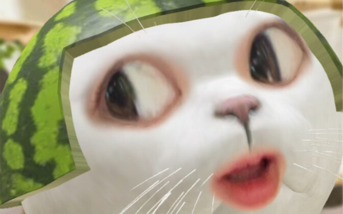 西瓜猫 瓜皮喵 一起来翻白……阿不是练眼神…～