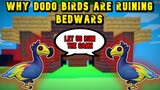 Why Dodo Birds Are Ruining Roblox Bedwars
