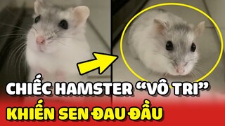 Chiếc Hamster mẹ với hành động VÔ TRI khiến con Sen ĐAU ĐẦU 😂 | Yêu Lu