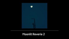 Moonlit Reverie 2