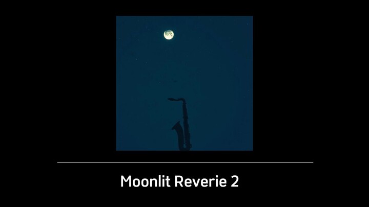 Moonlit Reverie 2
