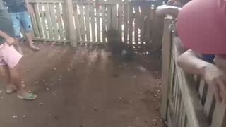 third fight