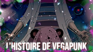 TOUTE L'HISTOIRE DE VEGAPUNK RÉSUMÉE - ONE PIECE