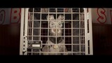 ISLE OF DOGS /Watch Fuil Movie\Link in Descprition