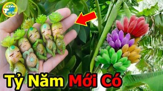 10 Loại Quả Kỳ Lạ Và Quý Hiếm Nhất Thế Giới Bạn Sẽ Hối Tiếc Nếu Không Nhìn Thấy Chúng