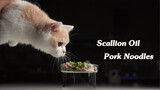 Hewan|Kucing Makan Daging