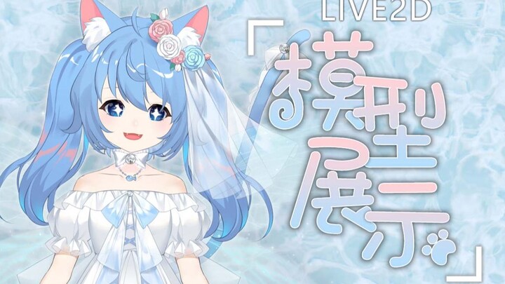 【Live2D模型展示】猫猫的眼里星辰闪耀！ 布偶猫妖精婚纱诺子~