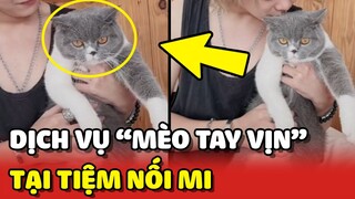 Dịch vụ "MÈO TAY VỊN" tại tiệm NỐI MI khiến nhiều khách hàng thích thú 😂 | Yêu Lu