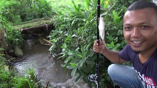 Walaupun Mancing Cuma Sebentar, Alhamdulillah Masih Ada Rejeki