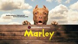 Marley (2022)