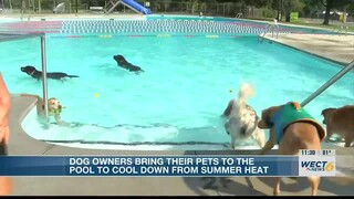 Dogs enjoy splash at Pooch Plunge at Legion Stadium Pool