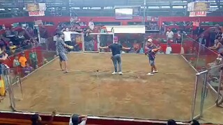na over ata sa ilag kaya apak tari lang 😅 2 warriors apak tari champion