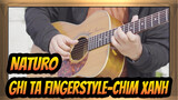 NATURO
Ghi ta Fingerstyle-Chim Xanh