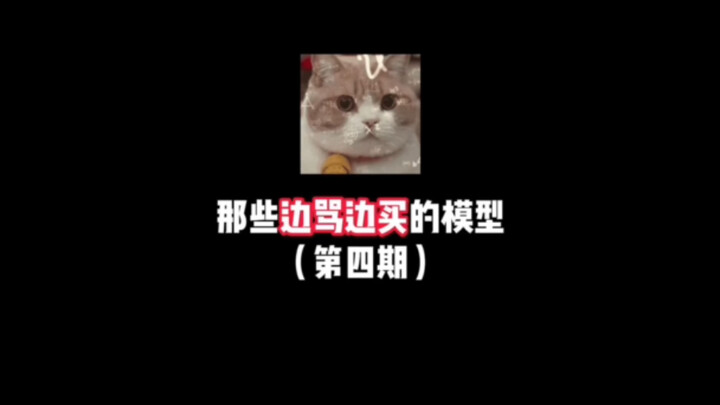 那些边骂边买的模型（第四期）