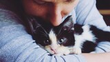 [Động vật] Câu chuyện cảm động giữa chú mèo ốm và ân nhân của nó